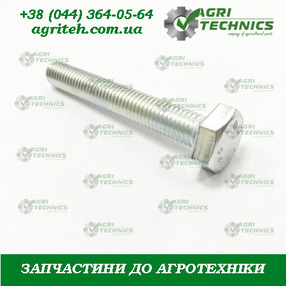 Болт М10х70 00376 (00404) Зображення