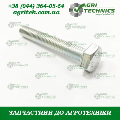 Болт М10х70 00376 (00404) Зображення