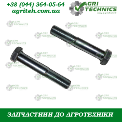 Болт М20х110 00400 Зображення