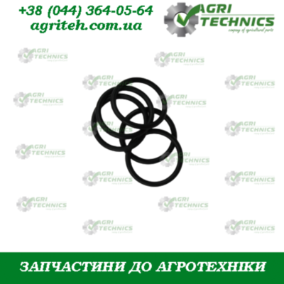 Кільце 01289 Зображення