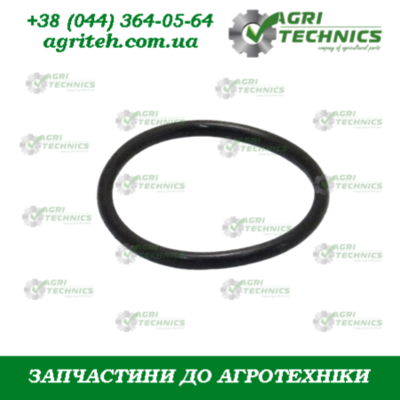 Гумове кільце 01290 Зображення