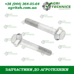 Болт M10x65 07492 Зображення
