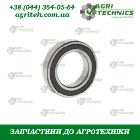 Підшипник 6905-2RS 11749 Зображення