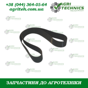 AC494745 Пас  Зображення