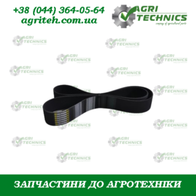 AC690156 Пас  Зображення