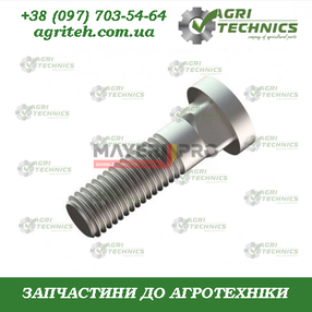 Болт кріплення стійки 428571-M Зображення