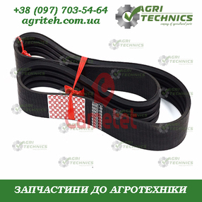 60002-99 Пас клиновий багаторуховий Зображення