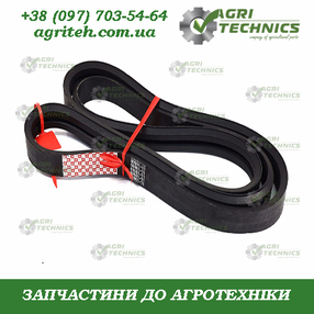 60016-11 Пас клиновий багаторуховий Зображення