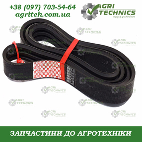 60071-11  Пас клиновий багаторуховий Зображення