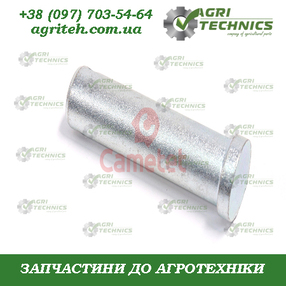 65325-55 Палець навіски Зображення